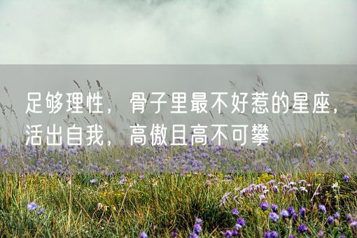 足够理性,骨子里最不好惹的星座,活出自我,高傲且高不可攀(图1) 足够理性,骨子里最不好惹的星座,活出自我,高傲且高不可攀(图1)
