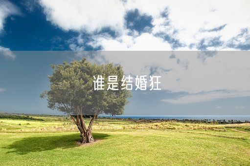 谁是结婚狂(图1) 谁是结婚狂(图1)