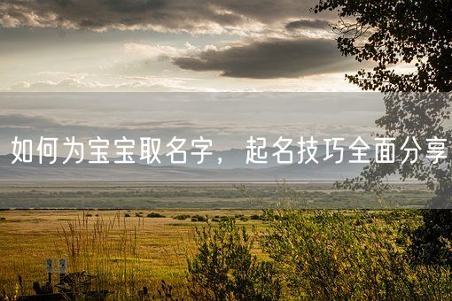 如何为宝宝取名字，起名技巧全面分享(图1)