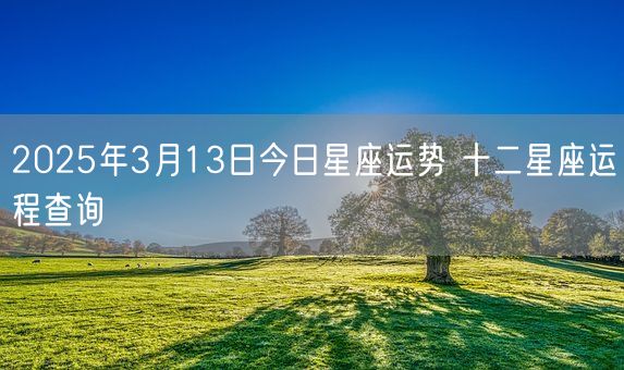 2025年3月13日今日星座运势 十二星座运程查询(图1)