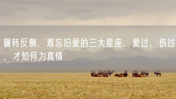 辗转反侧,难忘旧爱的三大星座,爱过,伤过,才知何为真情(图1) 辗转反侧,难忘旧爱的三大星座,爱过,伤过,才知何为真情(图1)