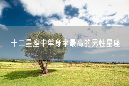 十二星座中单身率最高的男性星座(图1)