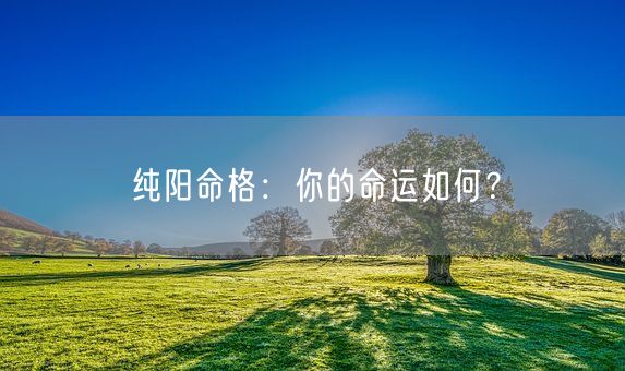 纯阳命格：你的命运如何？(图1)
