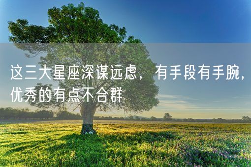 这三大星座深谋远虑,有手段有手腕,优秀的有点不合群(图1) 这三大星座深谋远虑,有手段有手腕,优秀的有点不合群(图1)