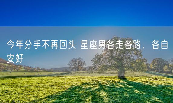 今年分手不再回头 星座男各走各路，各自安好(图1)