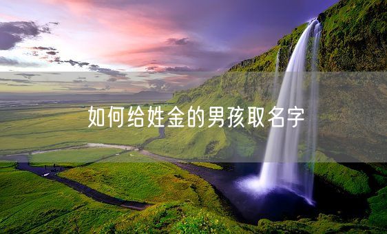 如何给姓金的男孩取名字(图1)