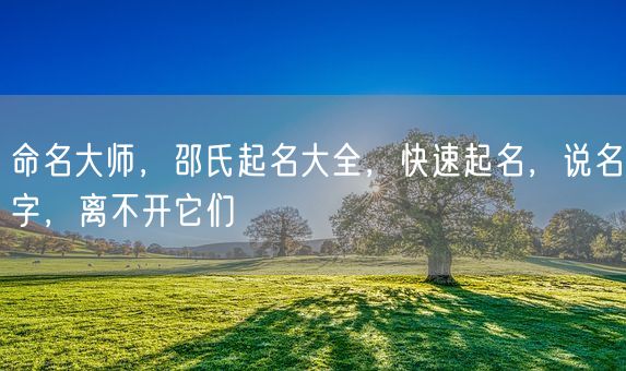 命名大师，邵氏起名大全，快速起名，说名字，离不开它们(图1)