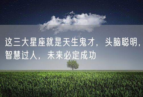 这三大星座就是天生鬼才，头脑聪明，智慧过人，未来必定成功(图1)
