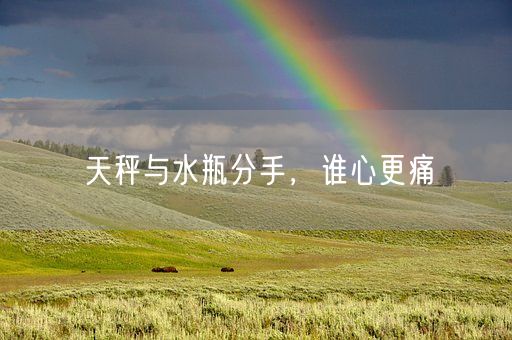 天秤与水瓶分手，谁心更痛(图1)