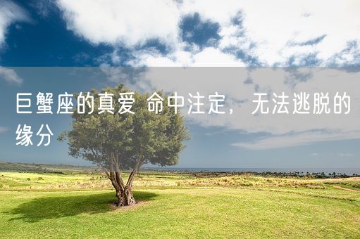 巨蟹座的真爱 命中注定，无法逃脱的缘分(图1)