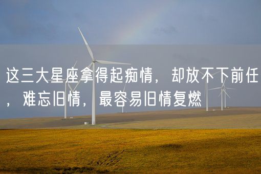 这三大星座拿得起痴情，却放不下前任，难忘旧情，最容易旧情复燃(图1)