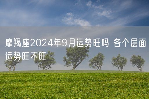 摩羯座2024年9月运势旺吗 各个层面运势旺不旺(图1)