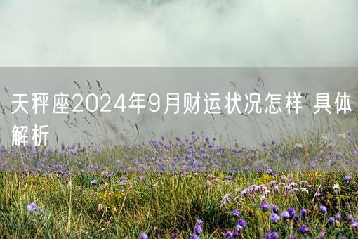 天秤座2024年9月财运状况怎样 具体解析(图1)