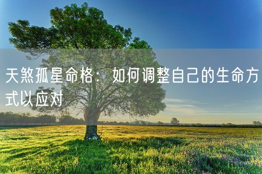 天煞孤星命格：如何调整自己的生命方式以应对(图1)