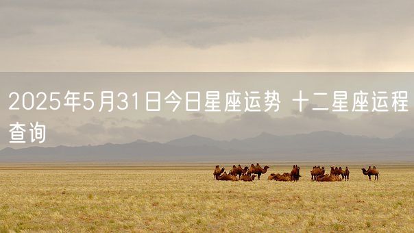 2025年5月31日今日星座运势 十二星座运程查询(图1)