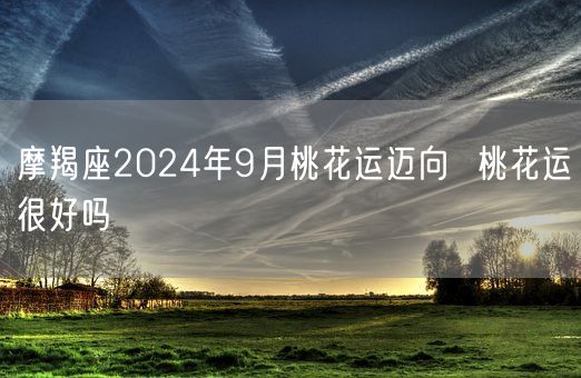 摩羯座2024年9月桃花运迈向  桃花运很好吗(图1)