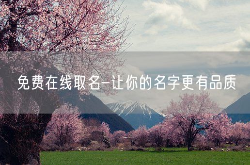 免费在线取名-让你的名字更有品质(图1)