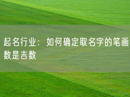 起名行业：如何确定取名字的笔画数是吉数(图1)
