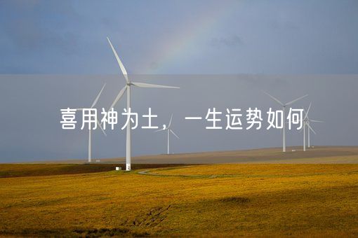 喜用神为土，一生运势如何(图1)