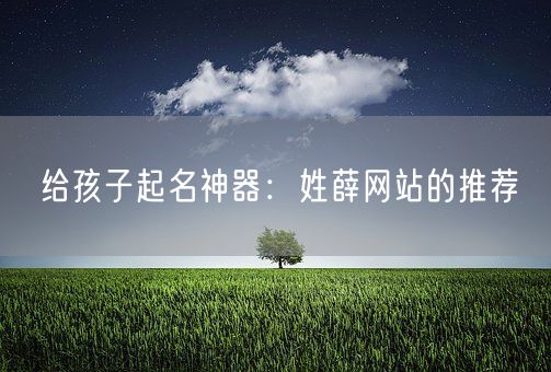 给孩子起名神器：姓薛网站的推荐(图1)