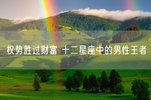 权势胜过财富 十二星座中的男性王者(图1)