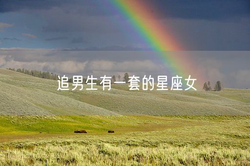 追男生有一套的星座女(图1)