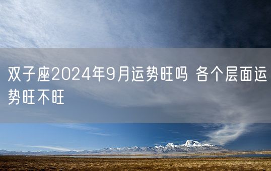 双子座2024年9月运势旺吗 各个层面运势旺不旺(图1)