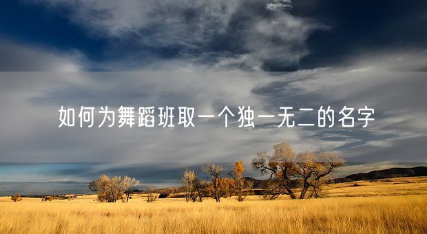 如何为舞蹈班取一个独一无二的名字(图1)