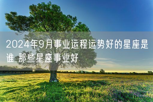 2024年9月事业运程运势好的星座是谁 那些星座事业好(图1)