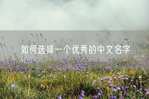 如何选择一个优秀的中文名字(图1)