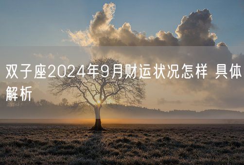 双子座2024年9月财运状况怎样 具体解析(图1)