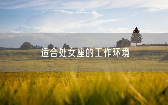 适合处女座的工作环境(图1)