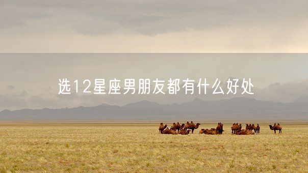 选12星座男朋友都有什么好处(图1)