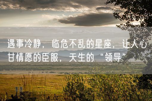 遇事冷静，临危不乱的星座，让人心甘情愿的臣服，天生的“领导”(图1)
