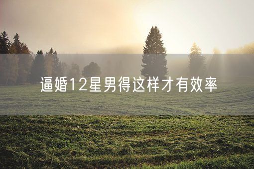 逼婚12星男得这样才有效率(图1)