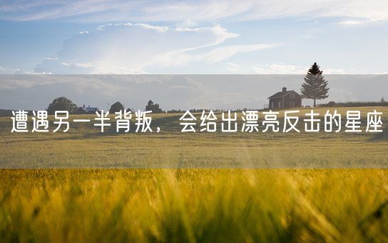 遭遇另一半背叛，会给出漂亮反击的星座(图1)