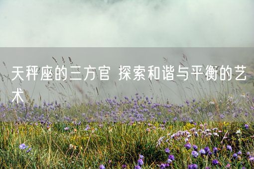 天秤座的三方官 探索和谐与平衡的艺术(图1)