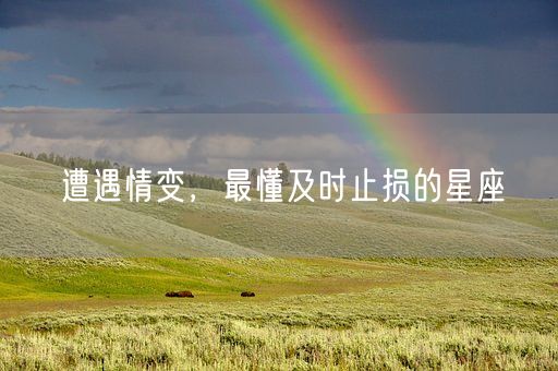 遭遇情变，最懂及时止损的星座(图1)