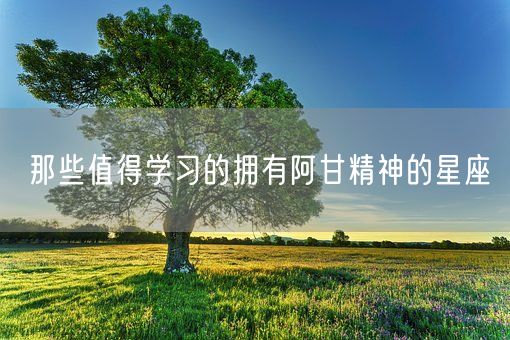 那些值得学习的拥有阿甘精神的星座(图1)