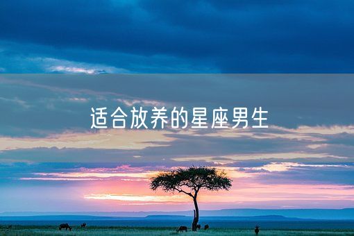 适合放养的星座男生(图1)