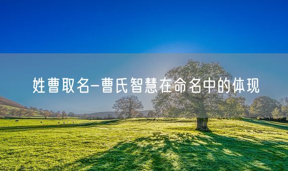 姓曹取名-曹氏智慧在命名中的体现(图1)