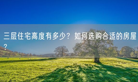 三层住宅高度有多少？如何选购合适的房屋？(图1)