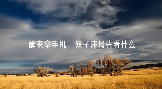 醒来拿手机，双子座最先看什么(图1)