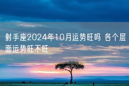 射手座2024年10月运势旺吗 各个层面运势旺不旺(图1)