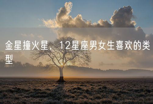 金星撞火星，12星座男女生喜欢的类型(图1)