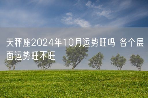 天秤座2024年10月运势旺吗 各个层面运势旺不旺(图1)