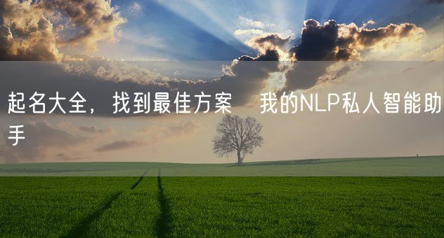 起名大全，找到最佳方案   我的NLP私人智能助手(图1)