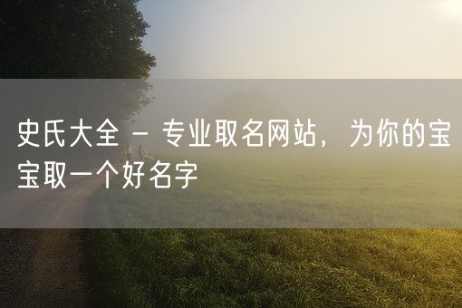 史氏大全 - 专业取名网站，为你的宝宝取一个好名字(图1)