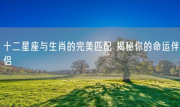 十二星座与生肖的完美匹配 揭秘你的命运伴侣(图1)