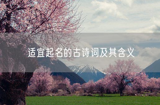 适宜起名的古诗词及其含义(图1)